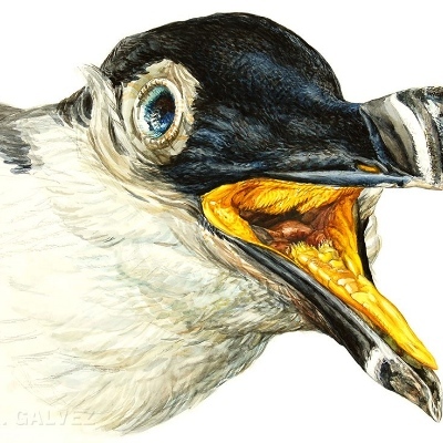 tordmulen@23.illuminati.org